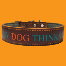 قلاده دستدوز my dog thinks i`m cool