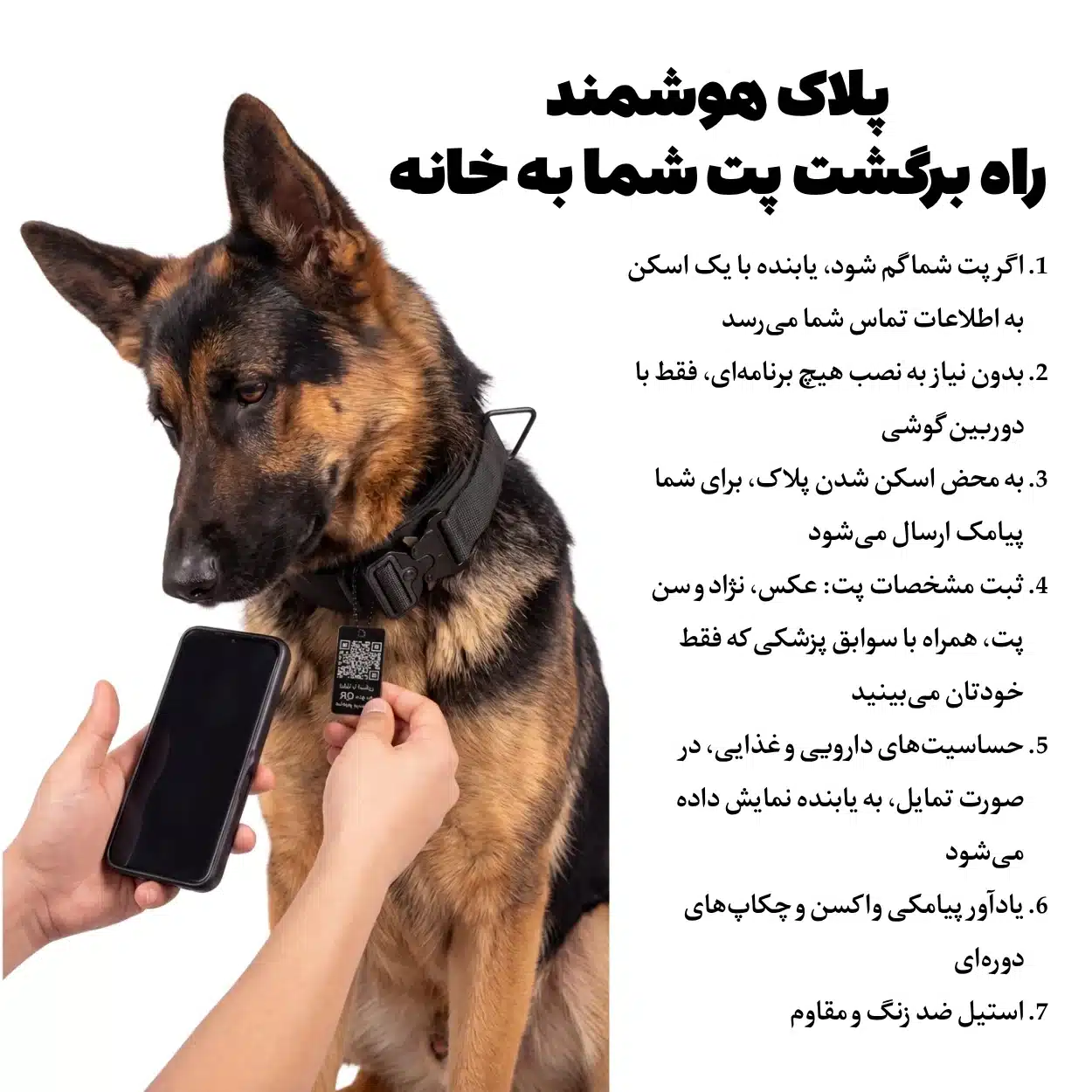 اسکن پلاک هوشمند QR روی قلاده با گوشی